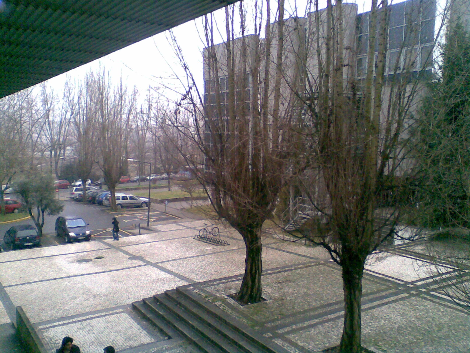 Img049.jpg