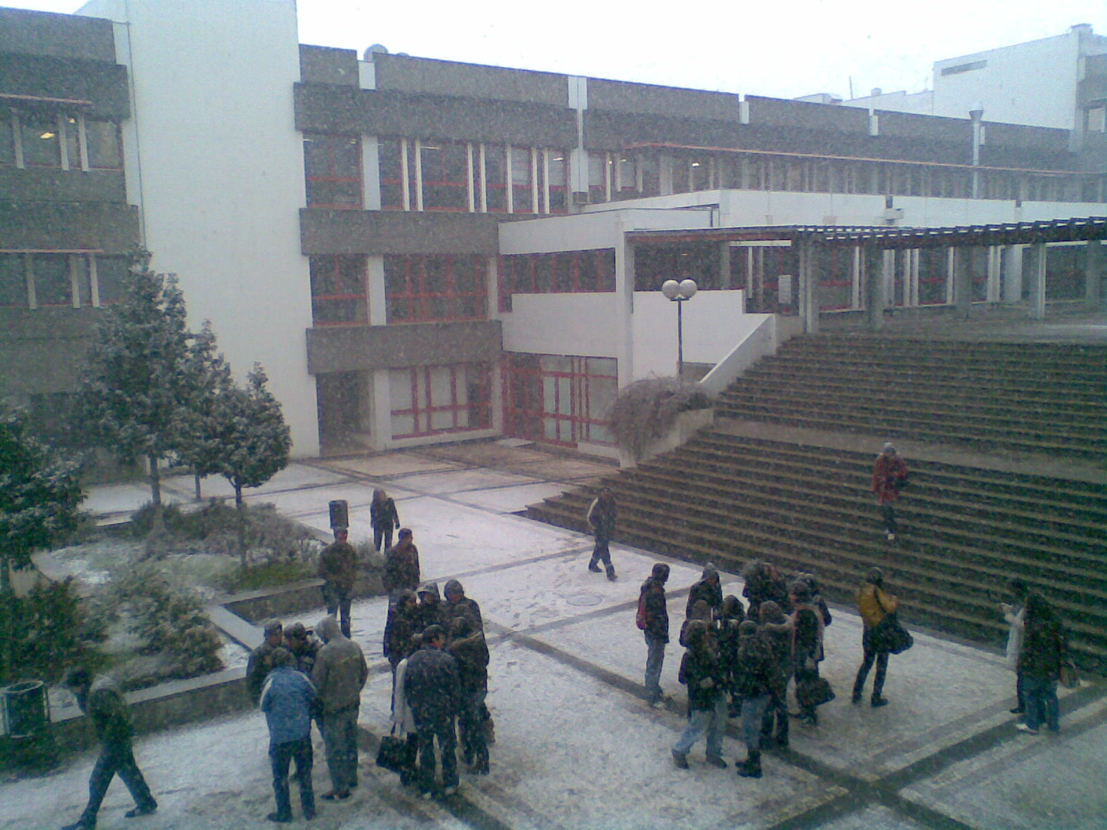 Img051.jpg