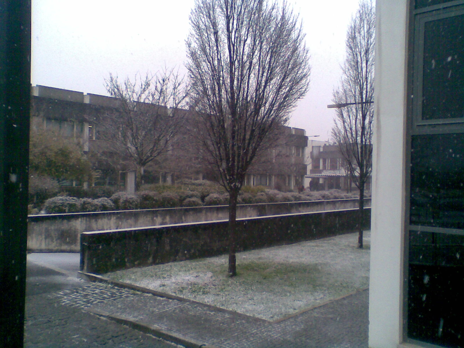 Img053.jpg