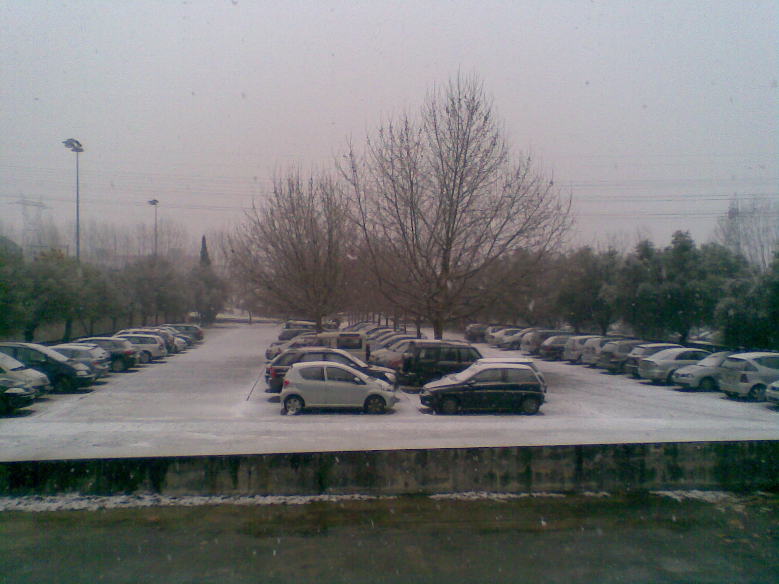 Img055.jpg