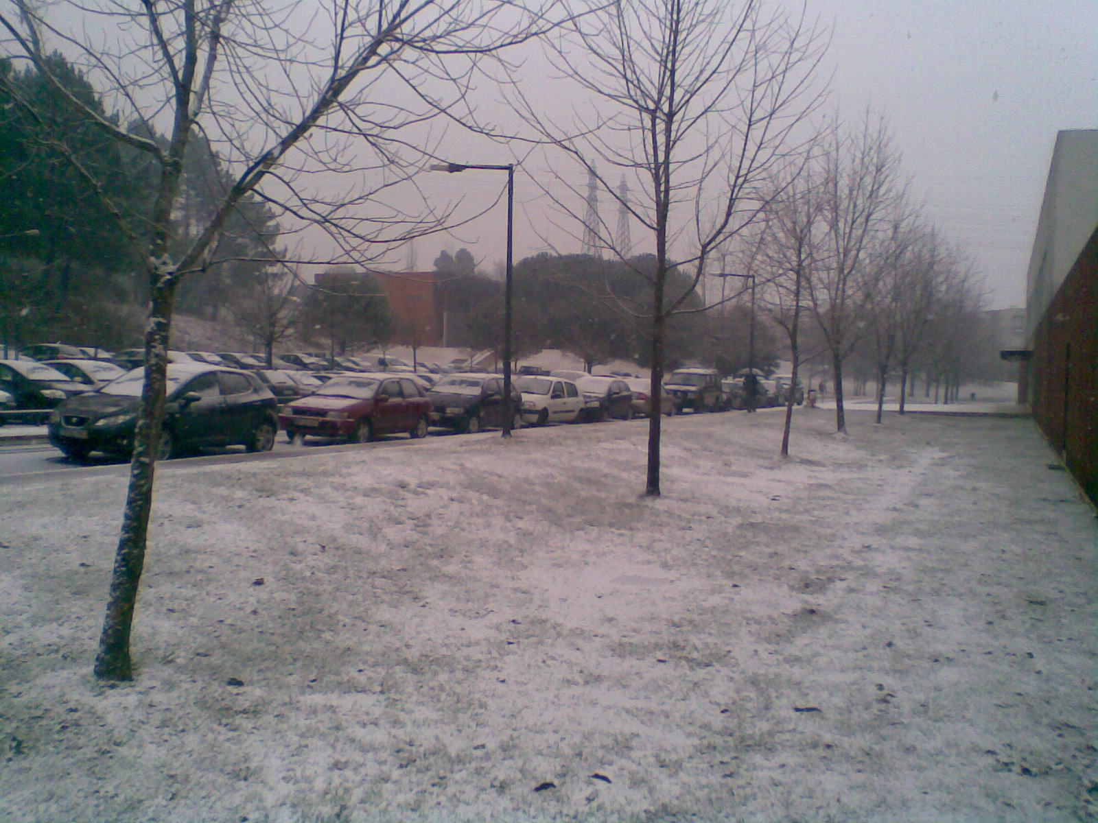 Img057.jpg