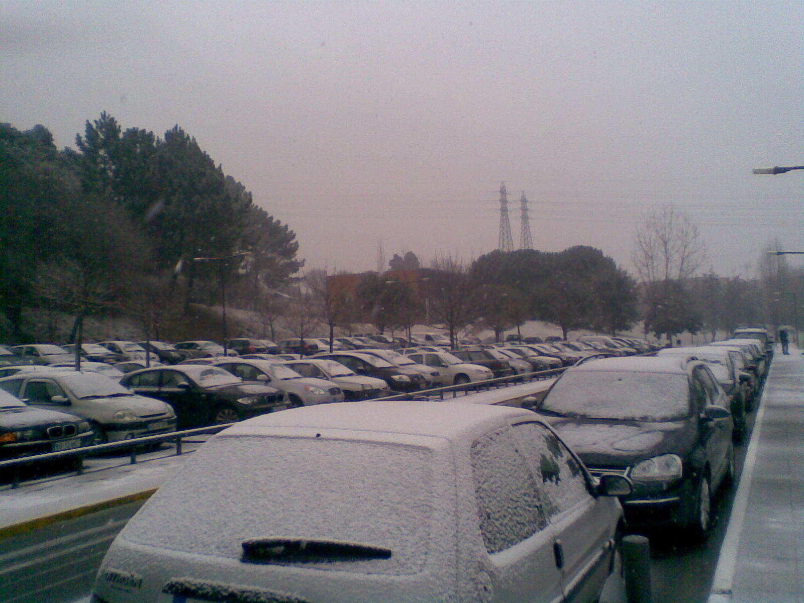 Img058.jpg