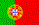 Em Portugu�s
