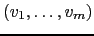 $ \left(v_1,\dots ,v_m \right)$