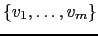 $ \left\{v_1,\dots ,v_m \right\}$