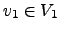 $ v_1\in V_1$
