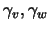 $ \gamma_v,\gamma_w$