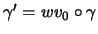 $ \gamma'=wv_0\circ\gamma$