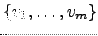 $ \left\{v_1,\dots ,v_m \right\}$
